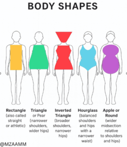 Different Body Shapes and How to Look Smart and Healthy