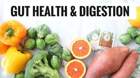 Gut Health and Digestion for Better Wellness Guide