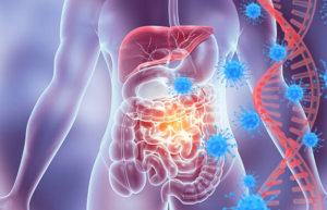How Gut Health Affects Your Immune System, Energy, and Overall Wellness