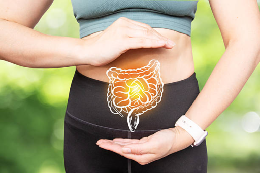 How Gut Health Affects Your Immune System, Energy, and Overall Wellness